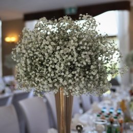 SPA Hotel Splendor **** - Sale weselne