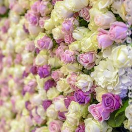 Mercure Lublin Centrum - Sale weselne