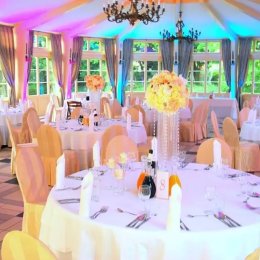 Pałac Tłokinia - Sale weselne