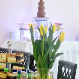 Pensjonat Magnolia - Sale weselne