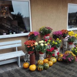 Cwał Ośrodek Szkoleniowo-Wypoczynkowy - Sale weselne