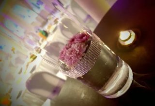 Sala weselna Topolowa