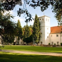 ZAMEK NA SKALE**** - Sale weselne