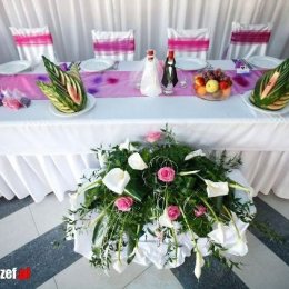 Dom Weselny Parkowa Bis - Sale weselne