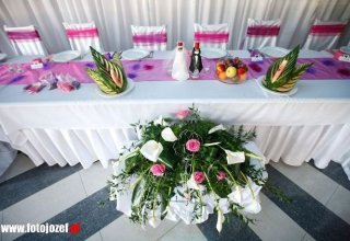 Dom Weselny Parkowa Bis