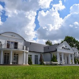 Wiktopolia - Sale weselne