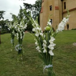 Zamek Dobra - Sale weselne