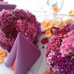 Hotel Eva - Sale weselne