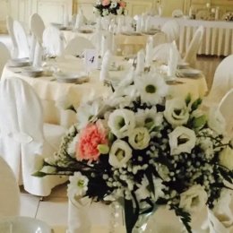 Hotel Anna - Sale weselne