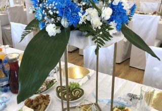 Dom Weselny U Alberta