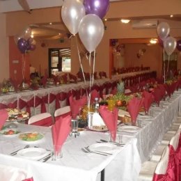 Dom Weselny Pestka - Sale weselne