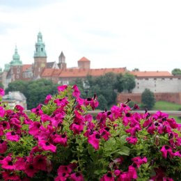 VIDOK Restaurant & Cafe - Sale weselne