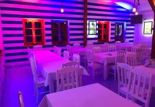 Tawerna pod pijaną zgrają