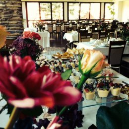 Ski Hotel - Sale weselne