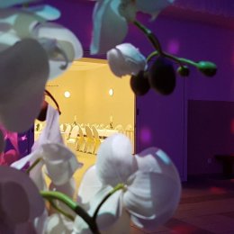 Sala Bankietowa Orchidea - Sale weselne