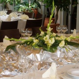 Ośrodek Olimpia - Sale weselne