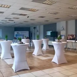 Wald Economy - Sale weselne