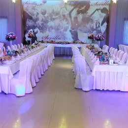 Hotel Sevilla - Sale weselne