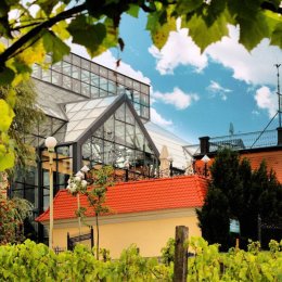 Palmiarnia - Sale weselne