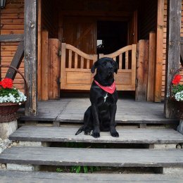 Miasteczko Westernowe MRONGOVILLE - Sale weselne