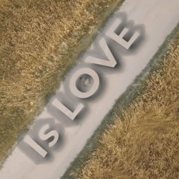 INTENSE COLOUR - Kamerzysta na wesele