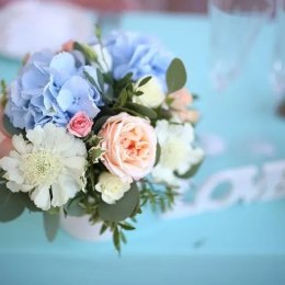 Daniello Studio - Kamerzysta na wesele