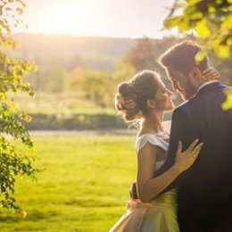 Panorama Projekt - Kamerzysta na wesele