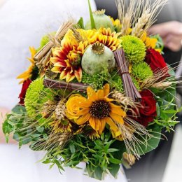 AVR STUDIO - Kamerzysta na wesele