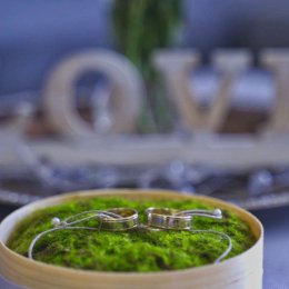 pankamerzysta - Kamerzysta na wesele