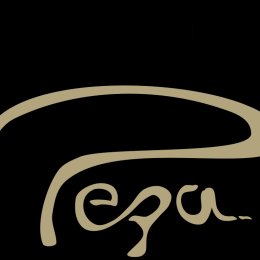 Pepa Films - Kamerzysta na wesele