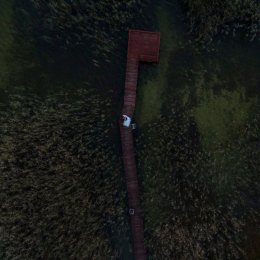 Movie Factory - Kamerzysta na wesele