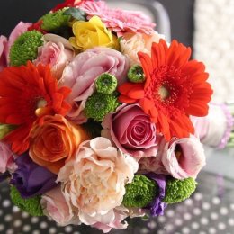 Wbielistudio - Kamerzysta na wesele