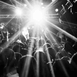 Pytart film - Kamerzysta na wesele