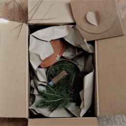 Luxury Wedding Films - Kamerzysta na wesele