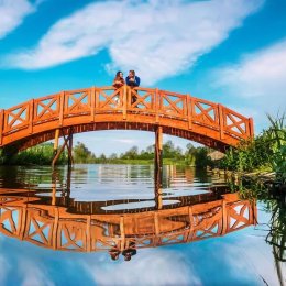 Studio Alladyn - Kamerzysta na wesele