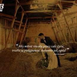 Piknefilmy - Kamerzysta na wesele