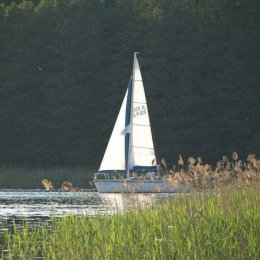 JN Video - Kamerzysta na wesele