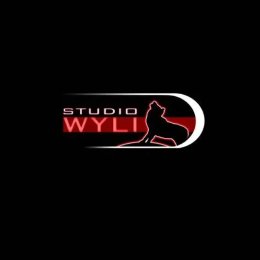 Studio Wyli - Kamerzysta na wesele