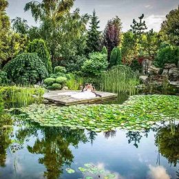 WM FOTO Michał Wiśniewski - Kamerzysta na wesele