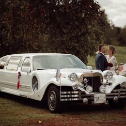 Limuzyna EXCALIBUR, Nestor Baron, Ford mustang cabrio, coupe - Auto do ślubu