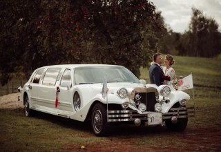 Limuzyna EXCALIBUR, Nestor Baron, Ford mustang cabrio, coupe