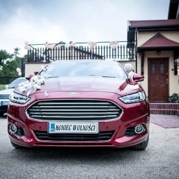 7th heaven group - Kamerzysta na wesele