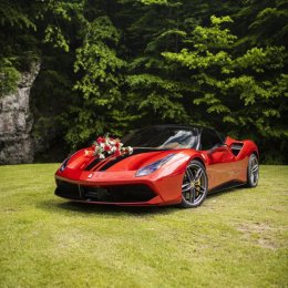 Royal Rent - Auto do ślubu