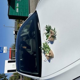 T3SLA Rent - Auto do ślubu