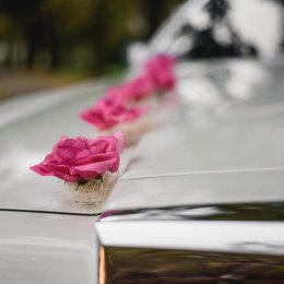SAMOCHODY DO ŚLUBU - DOLNOŚLĄSKIE - Auto do ślubu