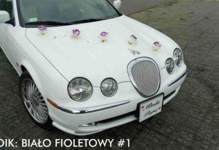 Wynajem Limuzyn Łódź | Limuzyna na wieczór panieński