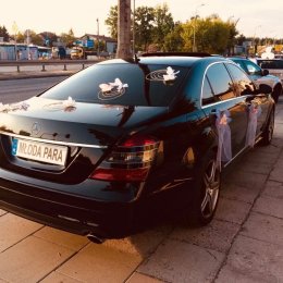 Auta do ślubu / T.K - Auto do ślubu