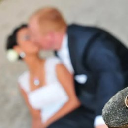 Studio Formella - Kamerzysta na wesele