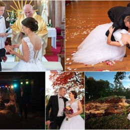 Studio Gavicom - Kamerzysta na wesele