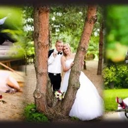 Video Andi - Kamerzysta na wesele